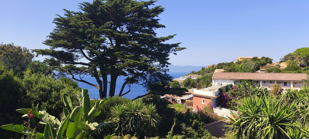 à vendre  Propriété/château Ile Du Levant (83400)