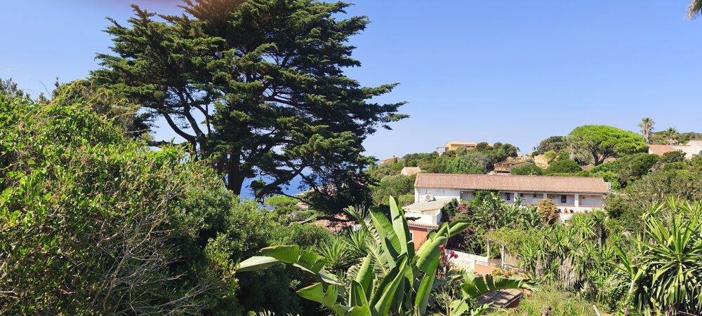 à vendre  Propriété/château Ile Du Levant (83400)