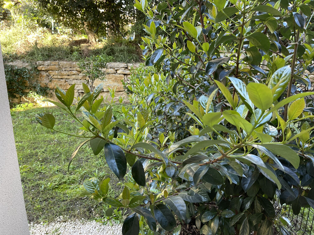 Vente Appartement HYERES OUEST- RESIDENCE RECENTE ET SECURISEE- APPARTEMENT T3  EN RE-DE-JARDIN - DOUBLE BOX Hyères