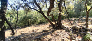  Terrain à vendre 2302 m²