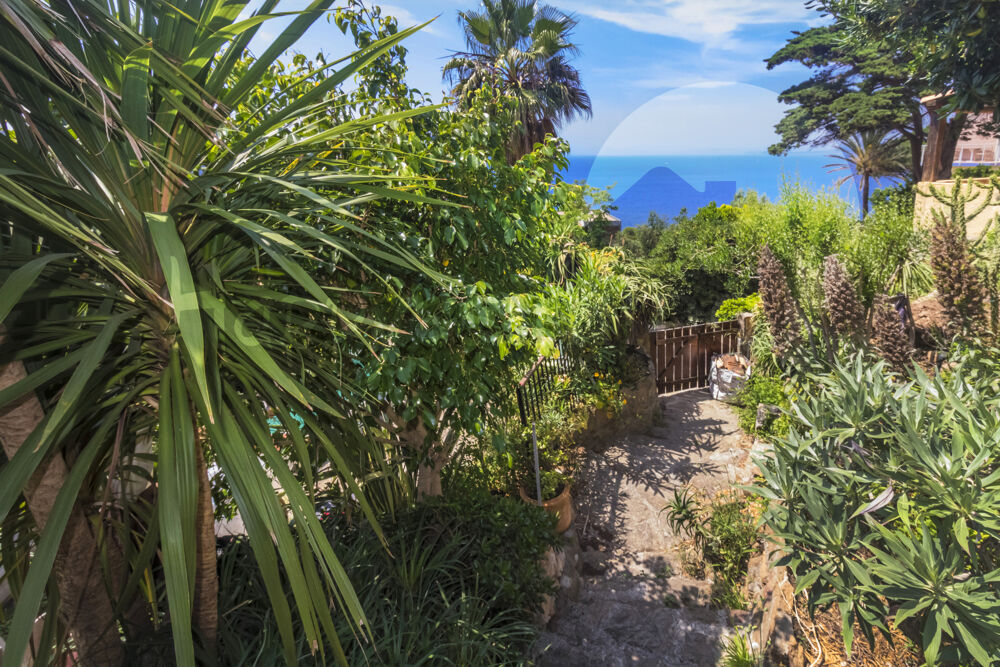 Vente Maison Île du Levant   Domaine d'Héliopolis   Vue mer panoramique et couchers de soleil d'exception Ile du levant