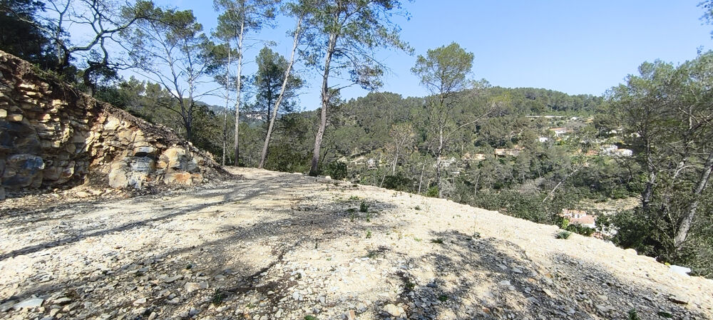 Vente Terrain Terrain à bâtir   Cadre naturel privilégié   Belgentier (83210) Belgentier