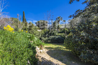  Terrain à vendre 1800 m²