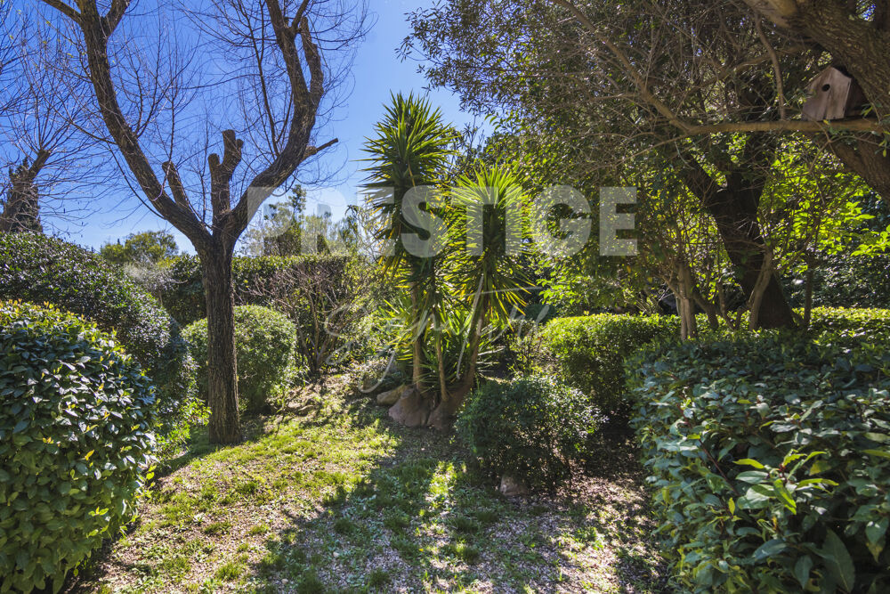 Vente Terrain Terrain viabilisé au calme Sanary sur mer