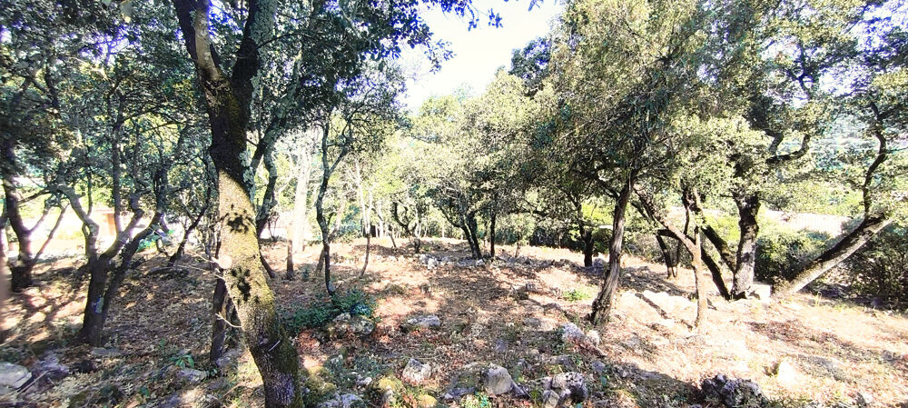 Vente Terrain Solliès-Toucas   2 300 m2 de nature… où votre maison trouvera naturellement sa place. Sollies toucas