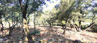  Terrain à vendre 2302 m²