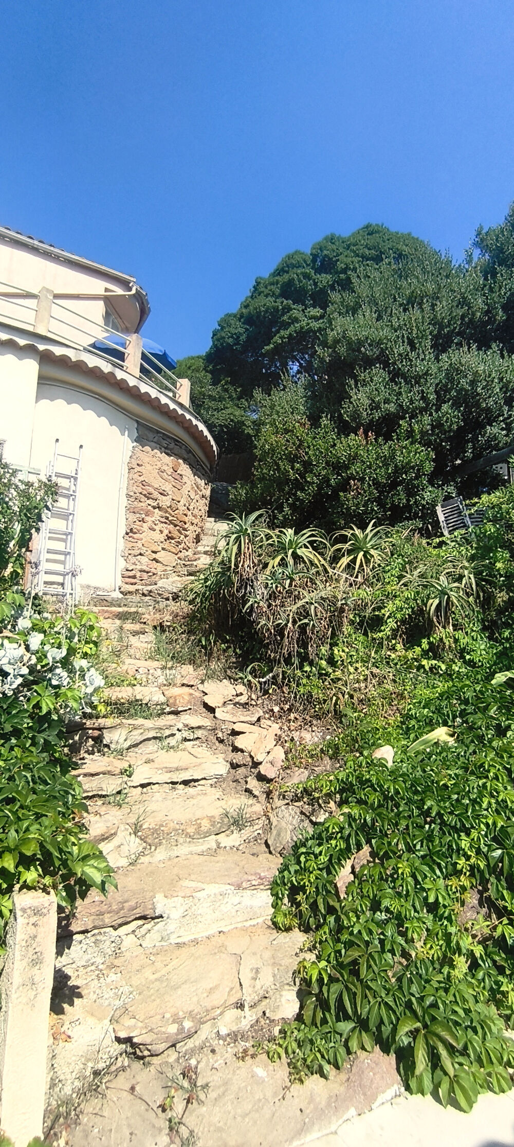 à vendre  Propriété/château Ile Du Levant (83400)
