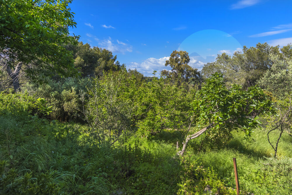 � vendre  Maison Le Pradet (83220)