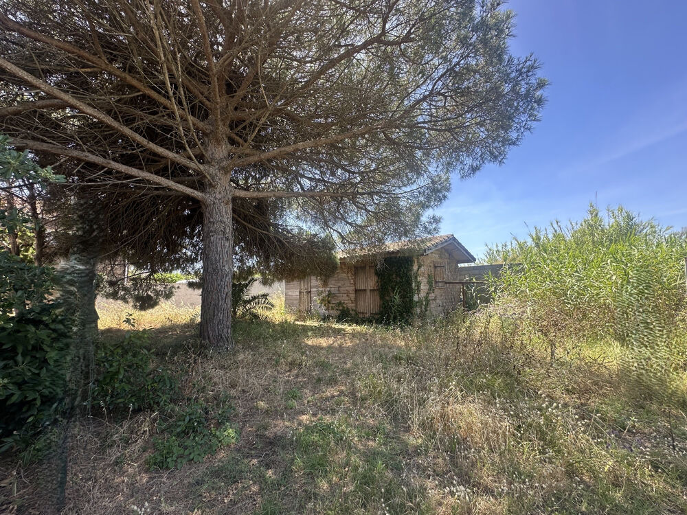 Vente Maison OPPORTUNITÉ HYÈRES PLAGES (83400)   POTENTIEL EXCEPTIONNEL PROCHE LA BADINE Hyères