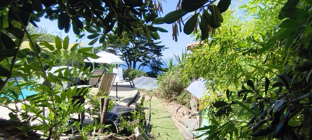 à vendre  Propriété/château Ile Du Levant (83400)