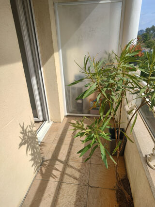  Appartement à vendre 1 pièce 18 m²