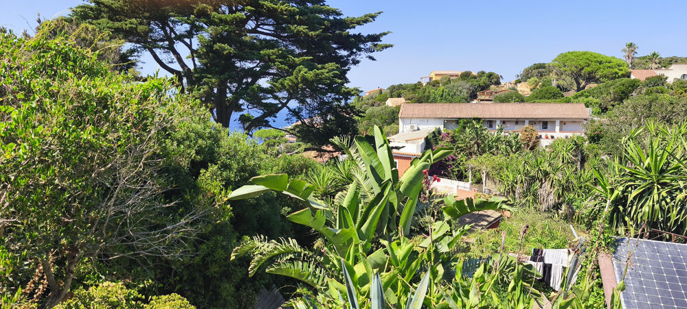 à vendre  Propriété/château Ile Du Levant (83400)