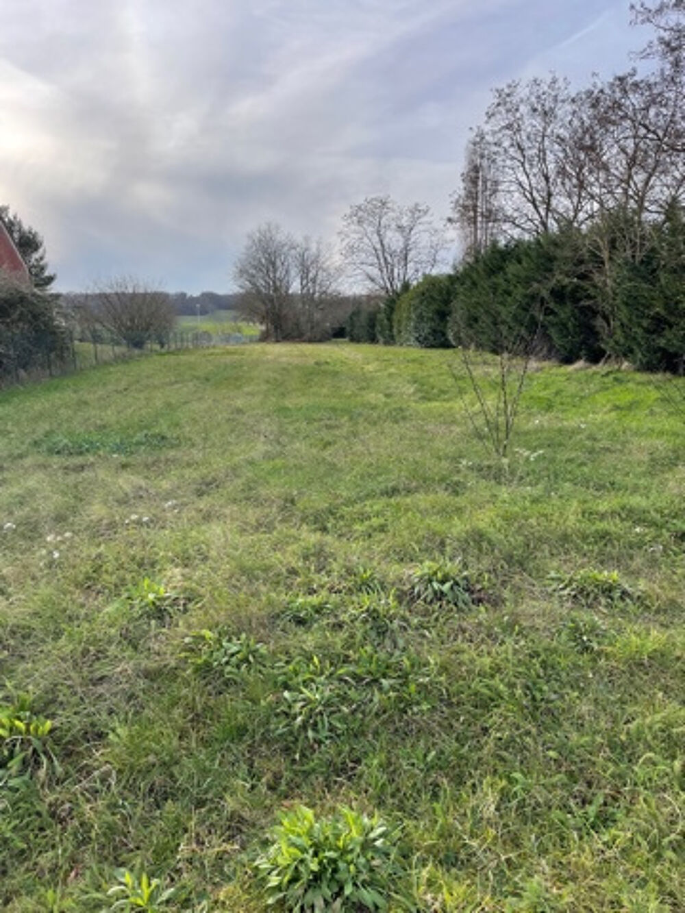 Vente Terrain Terrain constructible Sury pres lere