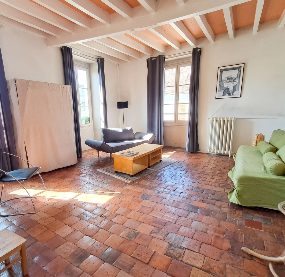 Vente Maison Immeuble de ville avec local commercial Beaulieu sur loire