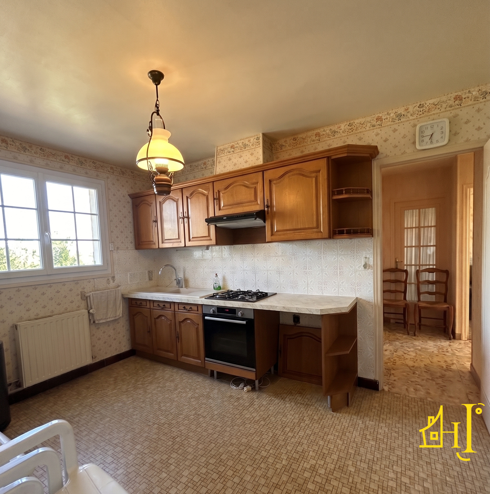 Vente Maison Maison individuelle Sury pres lere