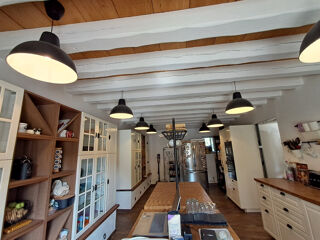  Propri�t�/ch�teau � vendre 8 pi�ces 227 m�