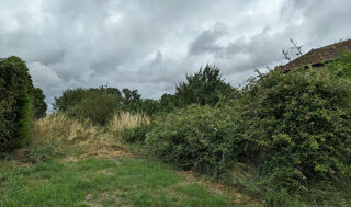  Terrain à vendre 3391 m²