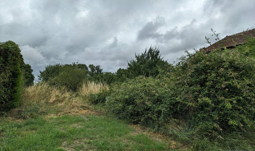 Vente Terrain Terrain Neuvy sur loire