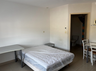  Appartement à louer 1 pièce 21 m²