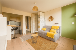  Appartement à louer 1 pièce 