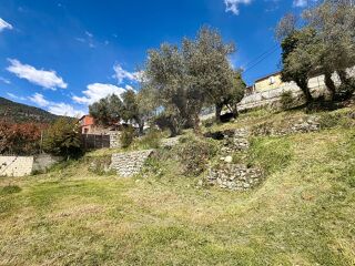  Terrain � vendre 620 m�