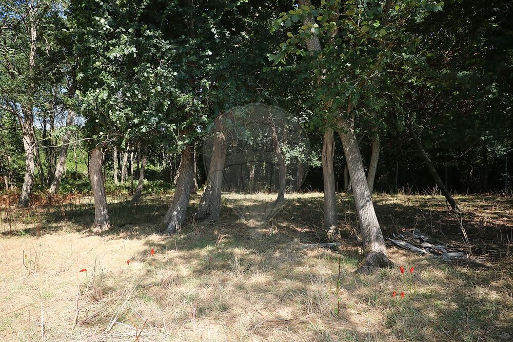 Vente Terrain Terrain  à vendre Marennes