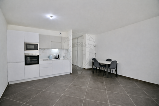  Appartement à vendre 1 pièce 