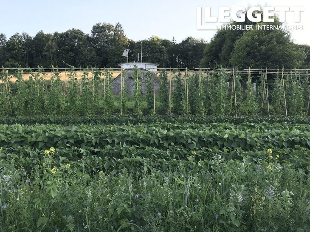 Vente Maison Ferme maraîchère biologique diversifié ? installation complète et clé en main, vente en circuit court ChÂteauneuf-la-forÊt