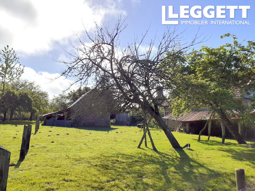 Vente Maison Ravissante longère, 3 chambres, cuisine neuve, 2 poêles neufs - DPE C - bâtiments annexes - 5355 m2 de terrain Saint-hilaire-du-harcouËt