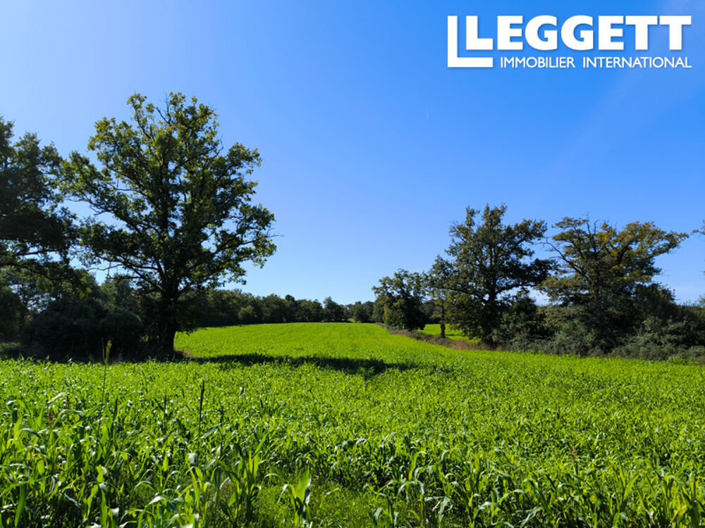 Vente Maison Possibilité de créer votre petite exploitation agricole ou entreprise équestre. Val-d'oire-et-gartempe