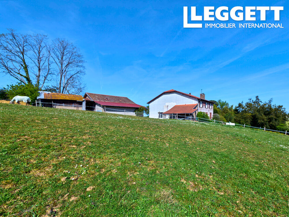 Vente Maison LABATUT - HABAS - Grande maison de 290 m² + maisonnette secondaire + dépendances Labatut