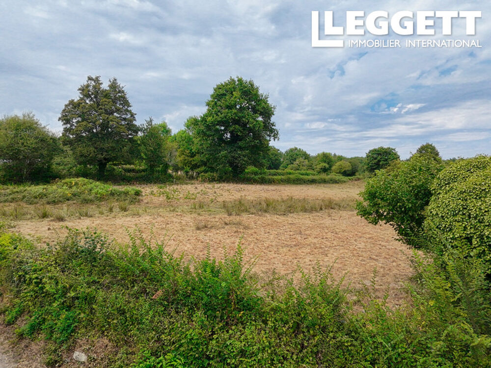 Maison de caractère et terrain attenant pour chevaux