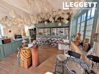  Maison à vendre 15 + pièces 500 m²