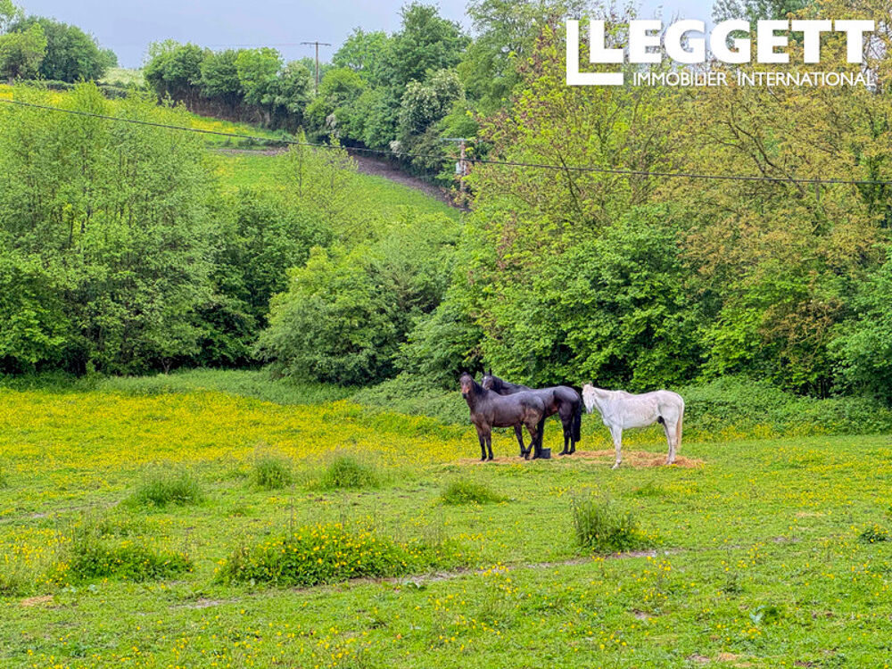 Vente Maison Au coeur de la campagne Normande, belle demeure du XVIII ème sur 2 hectares. Longmesnil