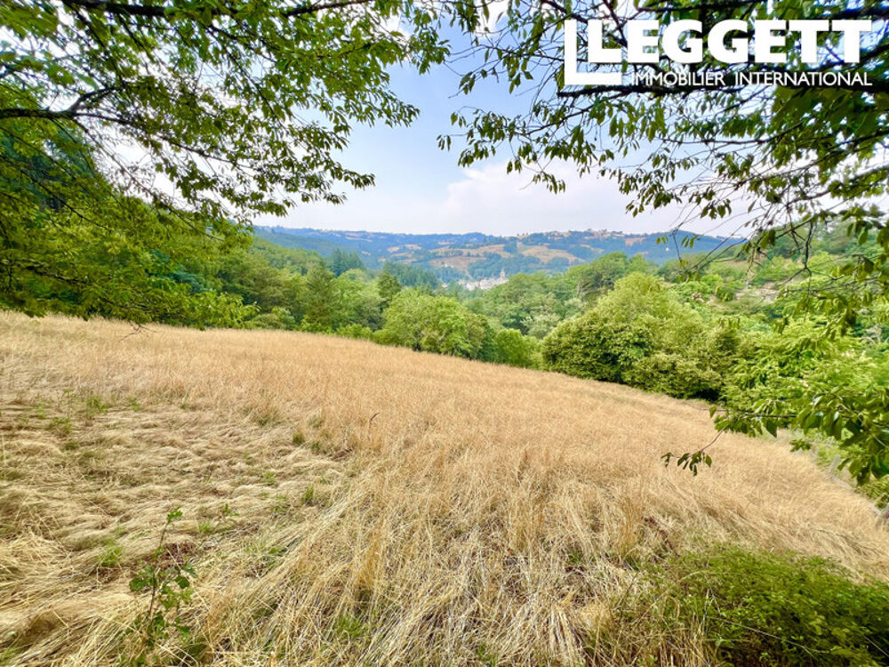 Vente Maison Maison de caractère en pierre avec terrain, piscine et grange dans la campagne aveyronnaise Espeyrac