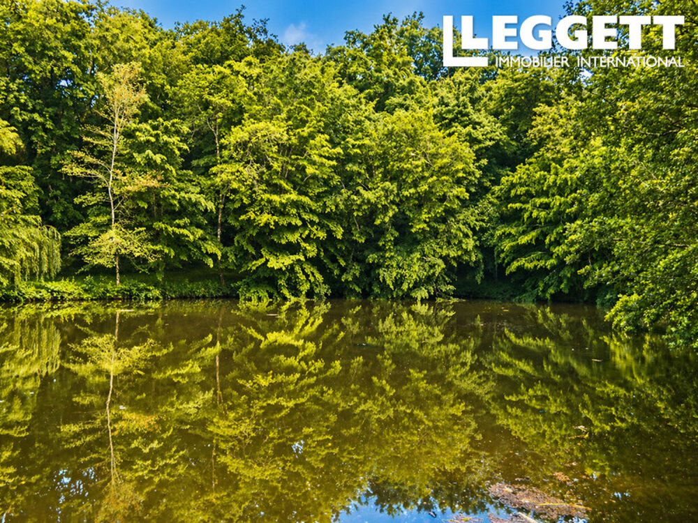 Vente Maison A quelques minutes de Marmande, agréable maison en pierre sur plus de 7ha de bois avec petit lac privé Virazeil