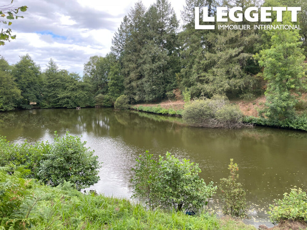 Vente Maison 2 magnifiques étangs en Charente, entourés de bois, dans un cadre paisible et idyllique. Pressignac