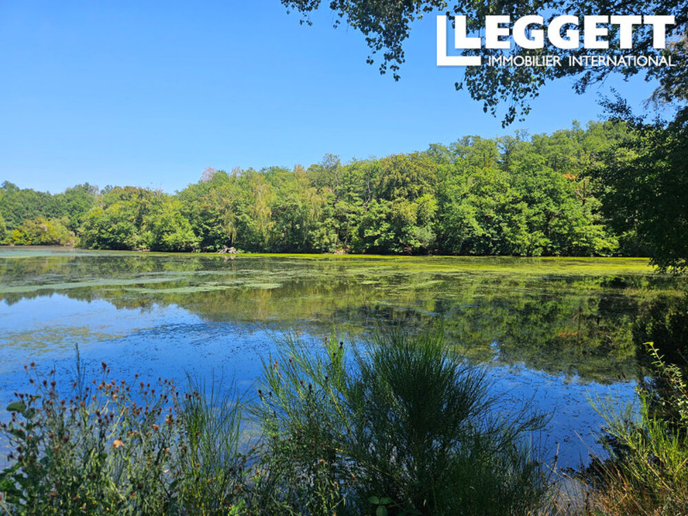 Vente Maison Domaine historique unique : 33 hectares avec étang privé de 7,4 hectares et maison à rénover Dournazac