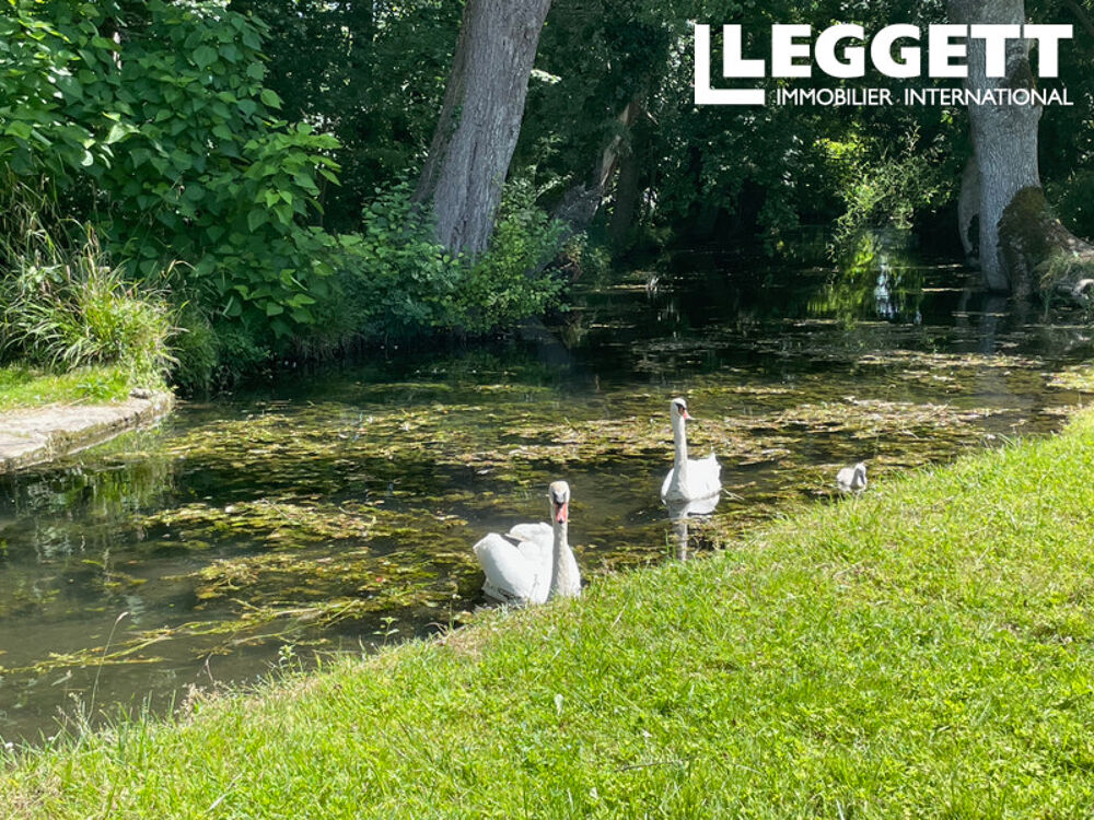 Vente Moulin Moulin à eau partiellement rénové, avec une jolie rivière, plus de deux hectares de terrain et gîte attenant Chef-boutonne