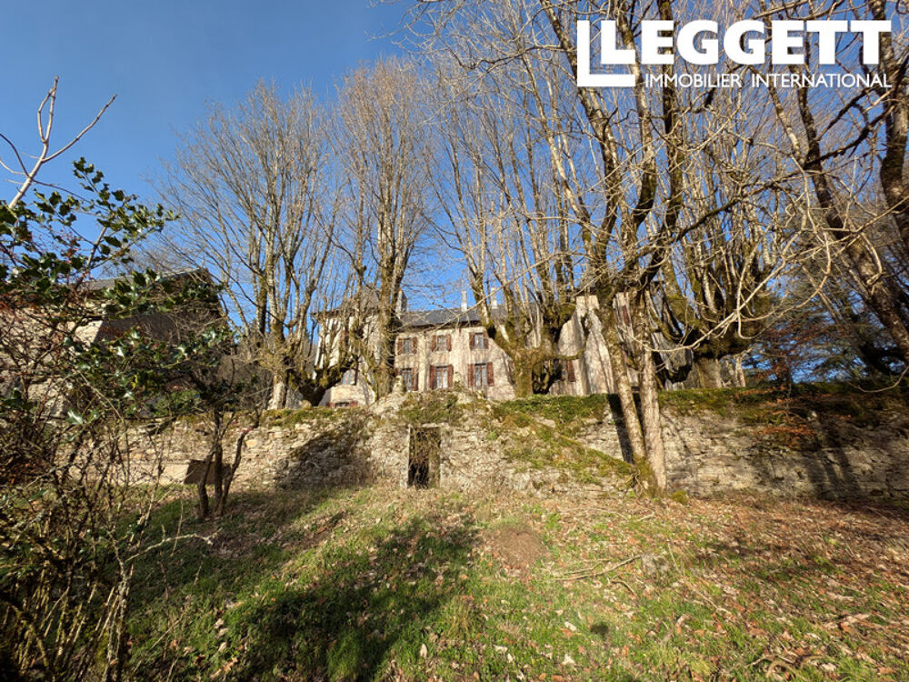 � vendre  Propri�t�/ch�teau Angl�s (81260)