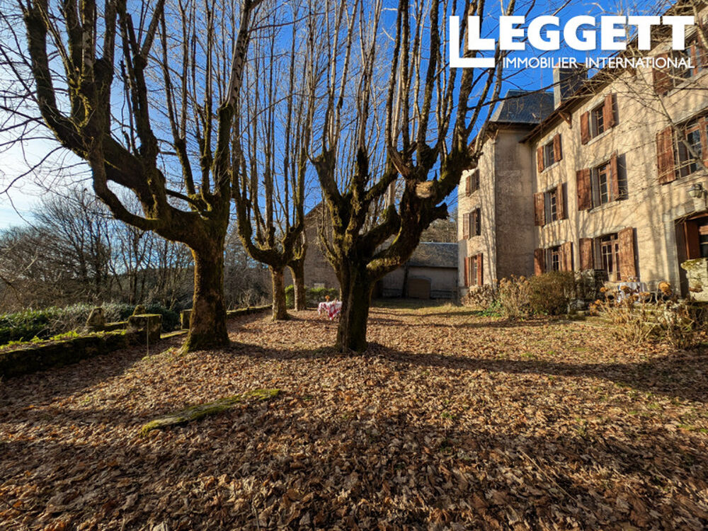 � vendre  Propri�t�/ch�teau Angl�s (81260)