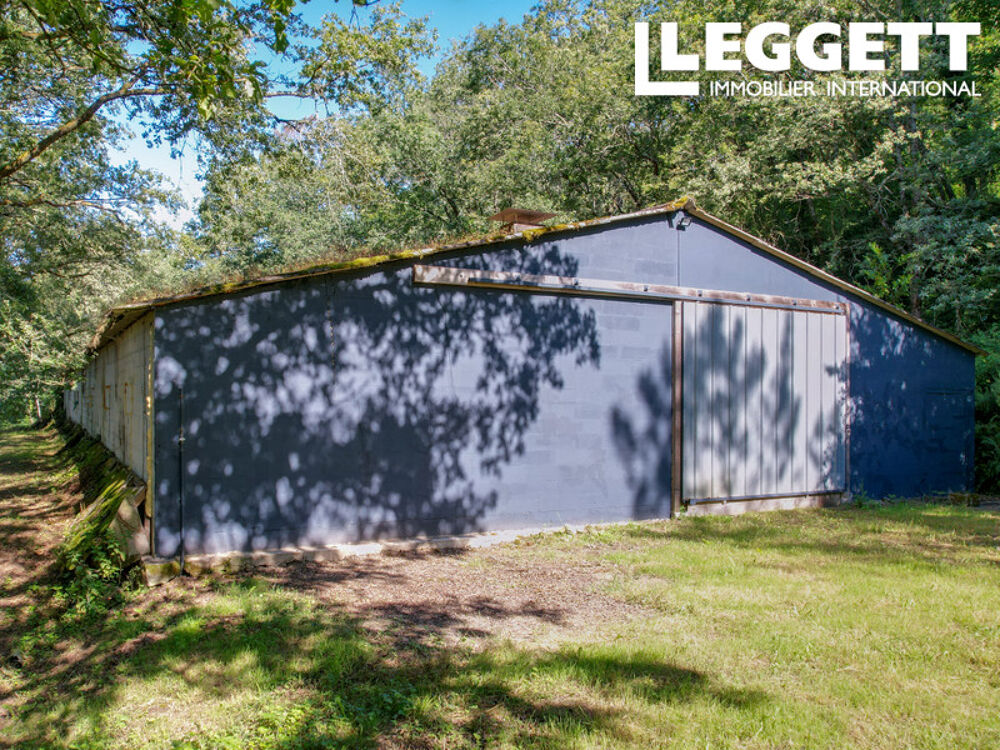 Hangar, bâtiment de stockage de 600m² sur 4472m² de forêt.