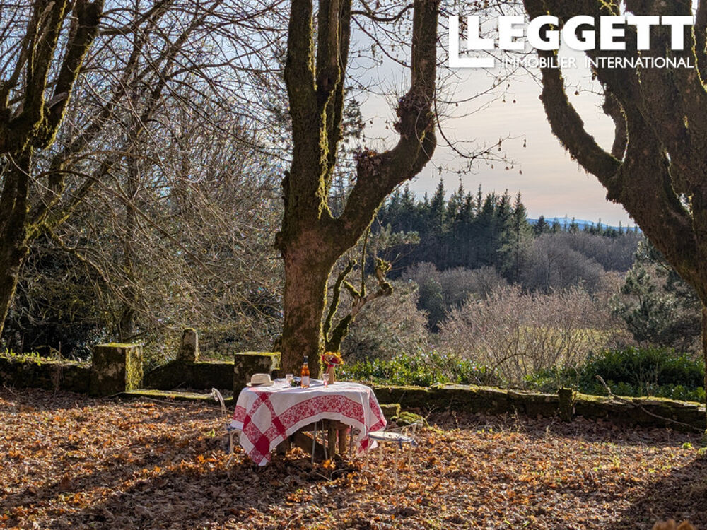 � vendre  Propri�t�/ch�teau Angl�s (81260)