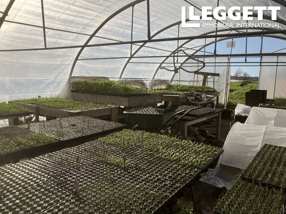 Vente Maison Ferme maraîchère biologique diversifié ? installation complète et clé en main, vente en circuit court ChÂteauneuf-la-forÊt