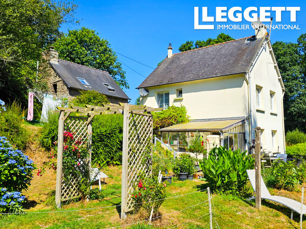 Deux maisons avec un grand terrain, idéales pour les amoureux de la nature ou pour ceux qui ont des animaux.