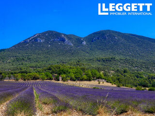  Proprit/chteau  vendre 15 + pices 725 m