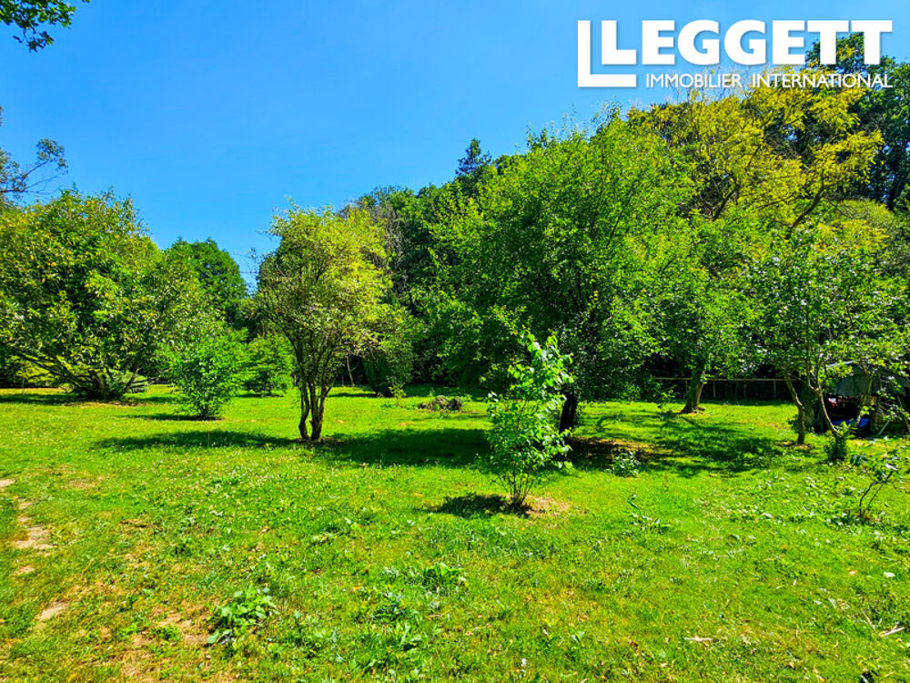 Deux maisons avec un grand terrain, idéales pour les amoureux de la nature ou pour ceux qui ont des animaux.