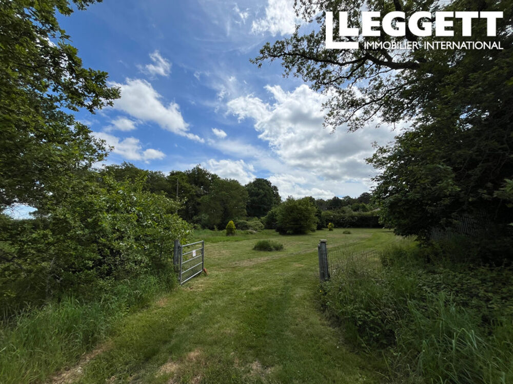 Grande propriété avec maison 360m2 de 3 ch à rénover, grange attenante/garage, terrain constructible 3895m2