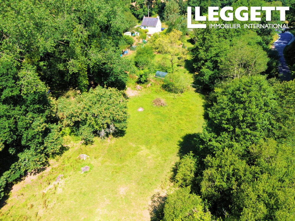 Deux maisons avec un grand terrain, idéales pour les amoureux de la nature ou pour ceux qui ont des animaux.