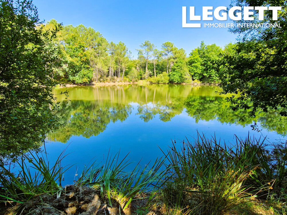 Vente Maison Belle propriété avec étang privé, 3 hectares et dépendances ? Beauronne Beauronne